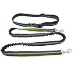 laisse mains libre pour courir pour chien - Vignette | laisse pour chien. fr