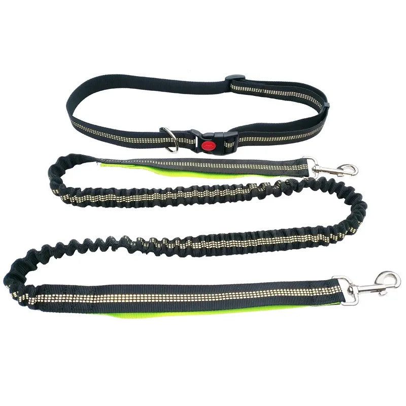 laisse pour courir nylon elastique mains libres reflechissante