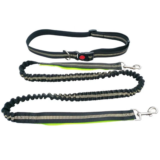 laisse pour courir nylon elastique mains libres reflechissante