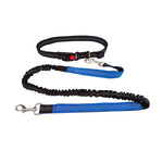 laisse mains libre pour courir pour chien - Vignette | laisse pour chien. fr