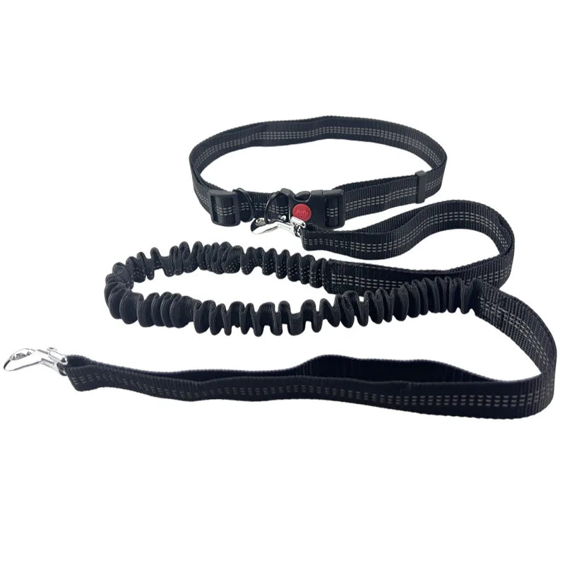 laisse pour courir nylon elastique mains libres reflechissante noir