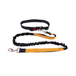laisse mains libre pour courir pour chien - Vignette | laisse pour chien. fr