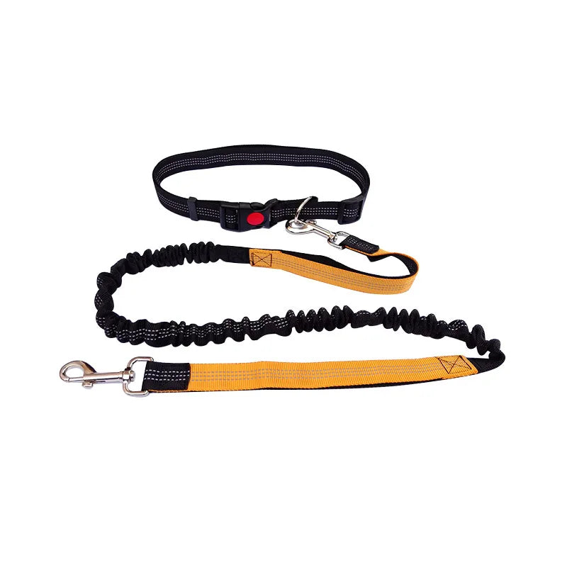 laisse pour courir nylon elastique mains libres reflechissante orange