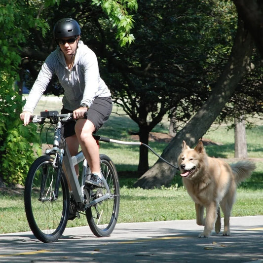 laisse pour velo a fixer