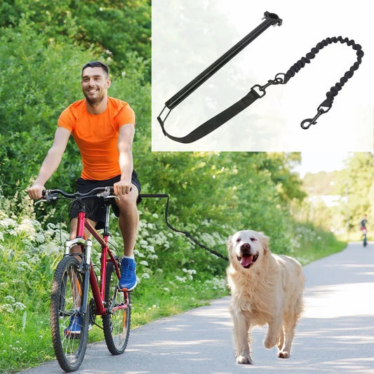 laisse pour velo pour chien