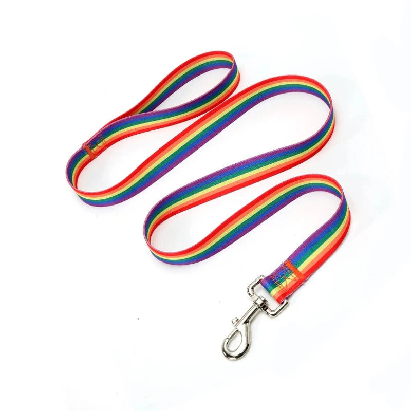 laisse pur chien a motifs arc en ciel