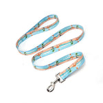 laisse pour chien - Vignette | laisse pour chien. fr