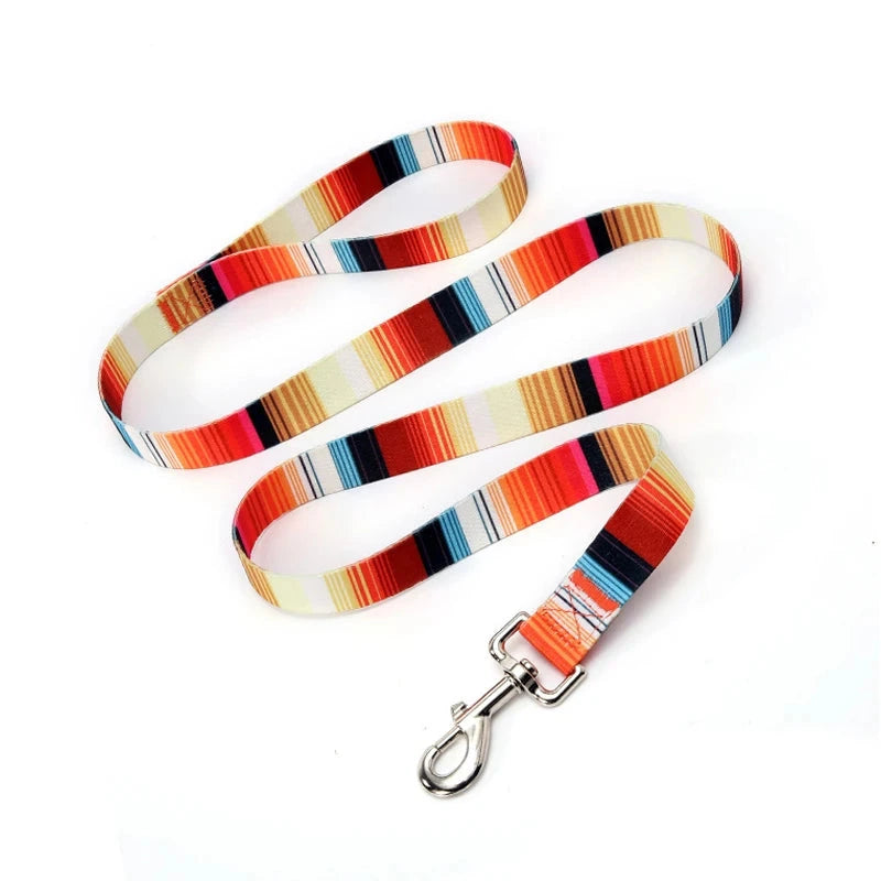 laisse pur chien a motifs rayures orange