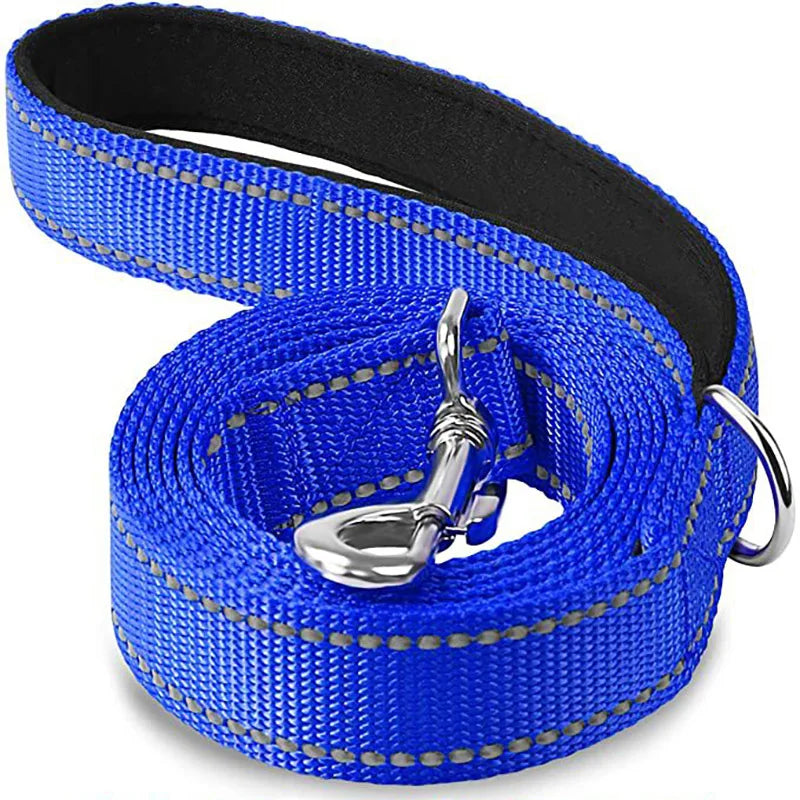 laisse reflechissante nylon bleu