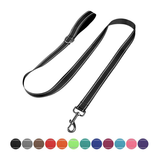 laisse reflechissante nylon couleur