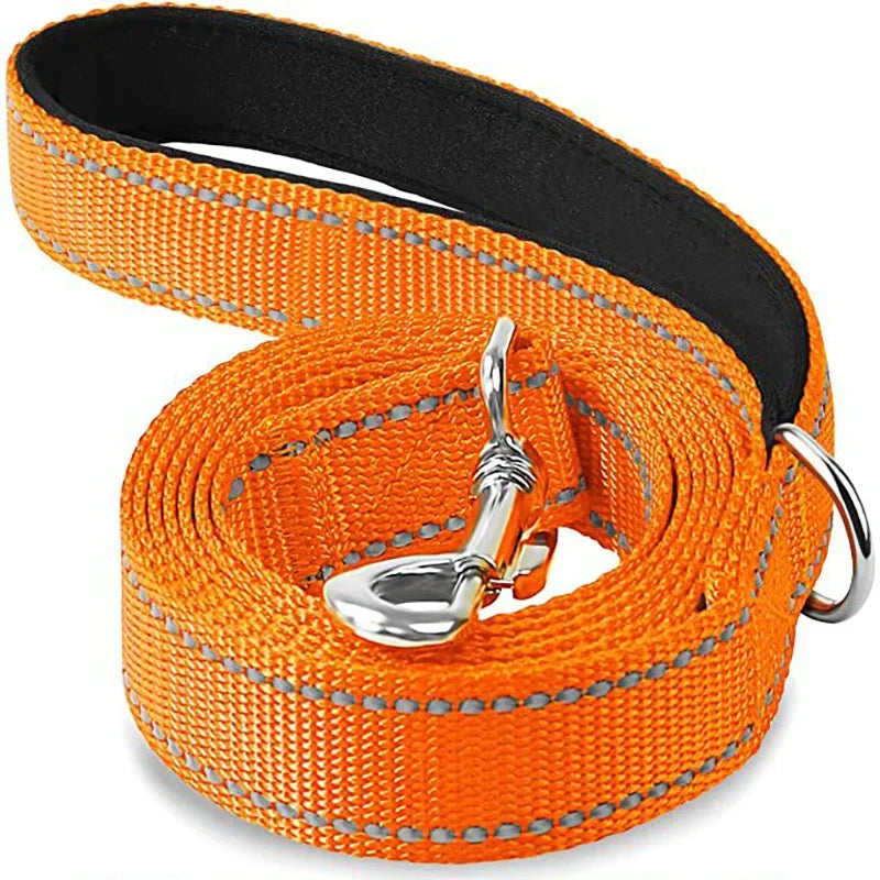 laisse reflechissante nylon couleur orange