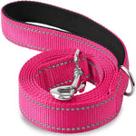 laisse pour chien nylon - Vignette | laisse pour chien. fr