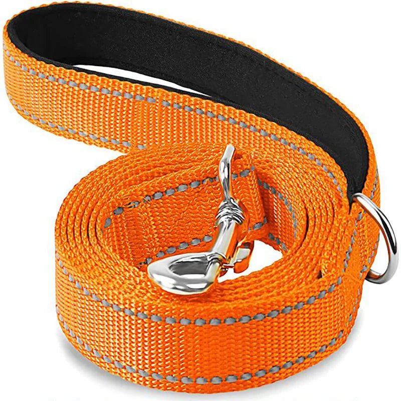 laisse reflechissante nylon orange
