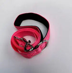 laisse pour chien nylon - Vignette | laisse pour chien. fr