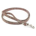 laisse pour petit chien retro - Vignette | laisse pour chien. fr