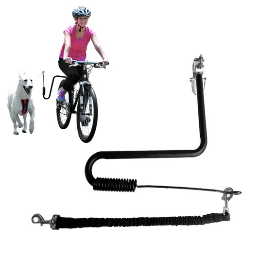 laisse vélo