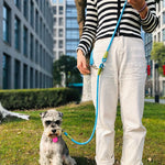 laisse mains libres pour chien - Vignette | laisse pour chien. fr