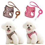 ensemble laisse et harnais pour petit chien - Vignette | laisse pour chien. fr
