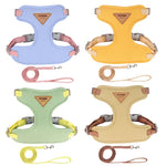 laisse et harnais petit chien nylon - Vignette | laisse pour chien. fr