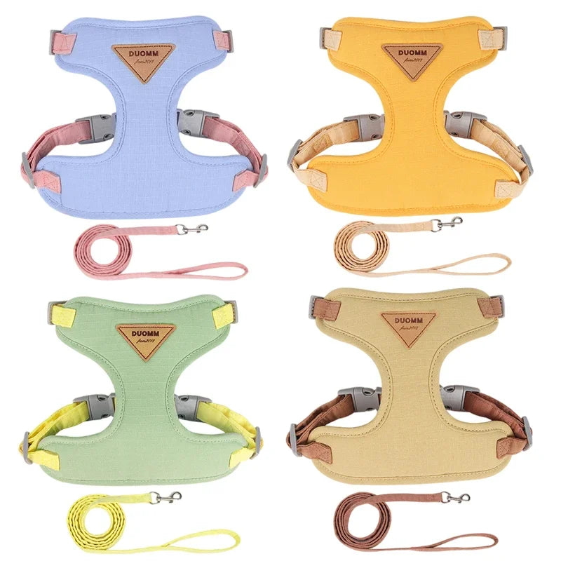 laisses et harnais pour petit chien nylon