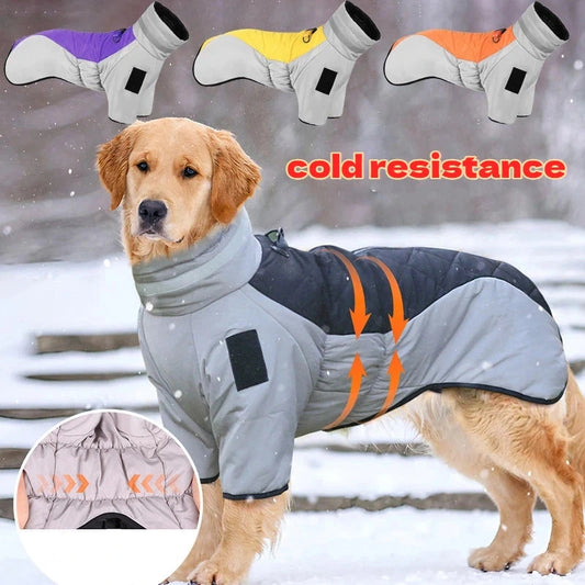 manteau chaud grand chien