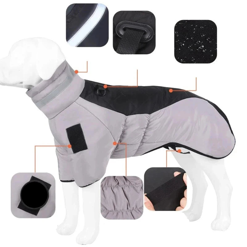 manteau chaud grand chien caracteristiques