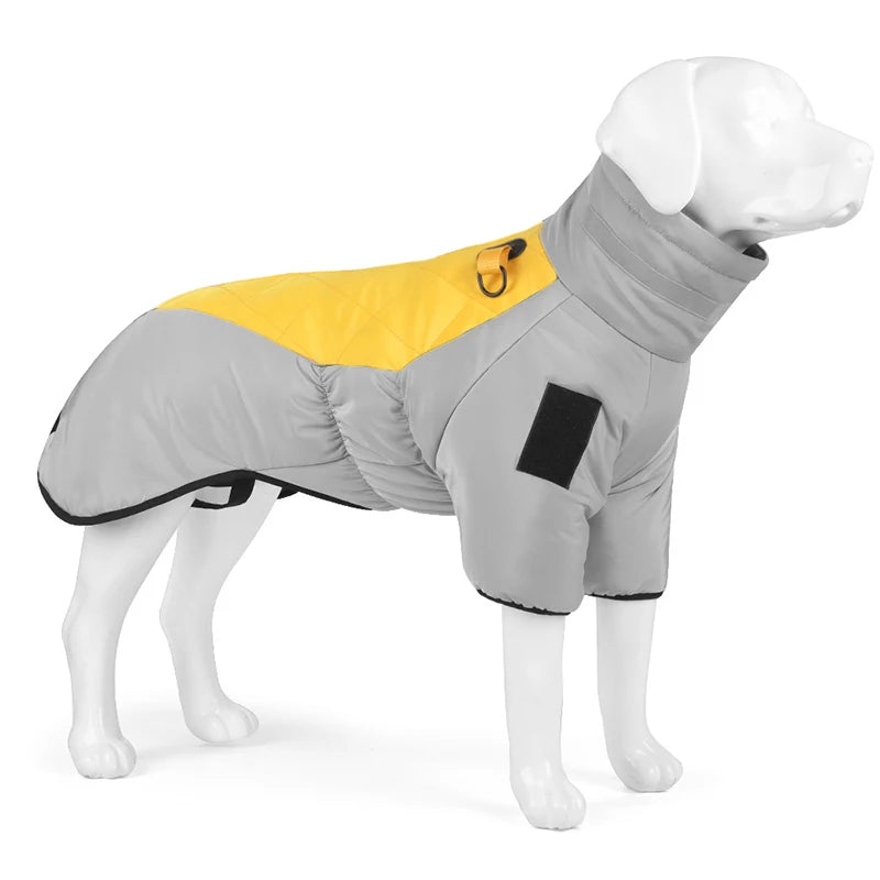 manteau chaud grand chien gris et jaune