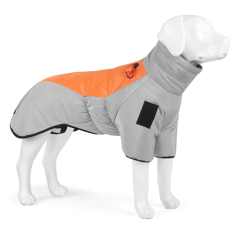 manteau chaud grand chien gris et orange