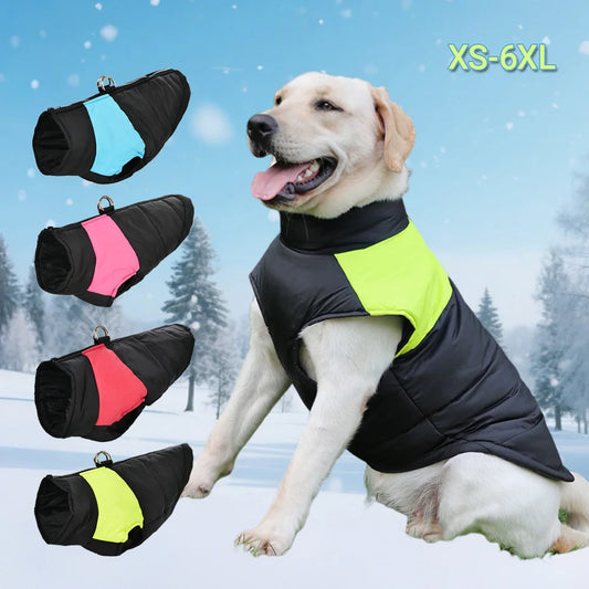 manteau chaud impermeable pour chien