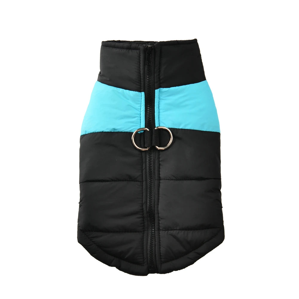 manteau chaud impermeable pour chien bleu