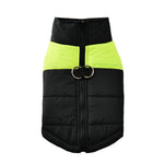 Manteau chaud pour chien - Vignette | laisse pour chien. fr