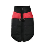 Manteau chaud pour chien - Vignette | laisse pour chien. fr