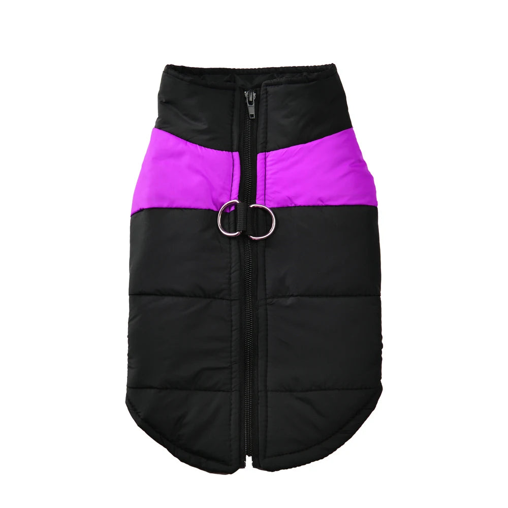 manteau chaud impermeable pour chien violet