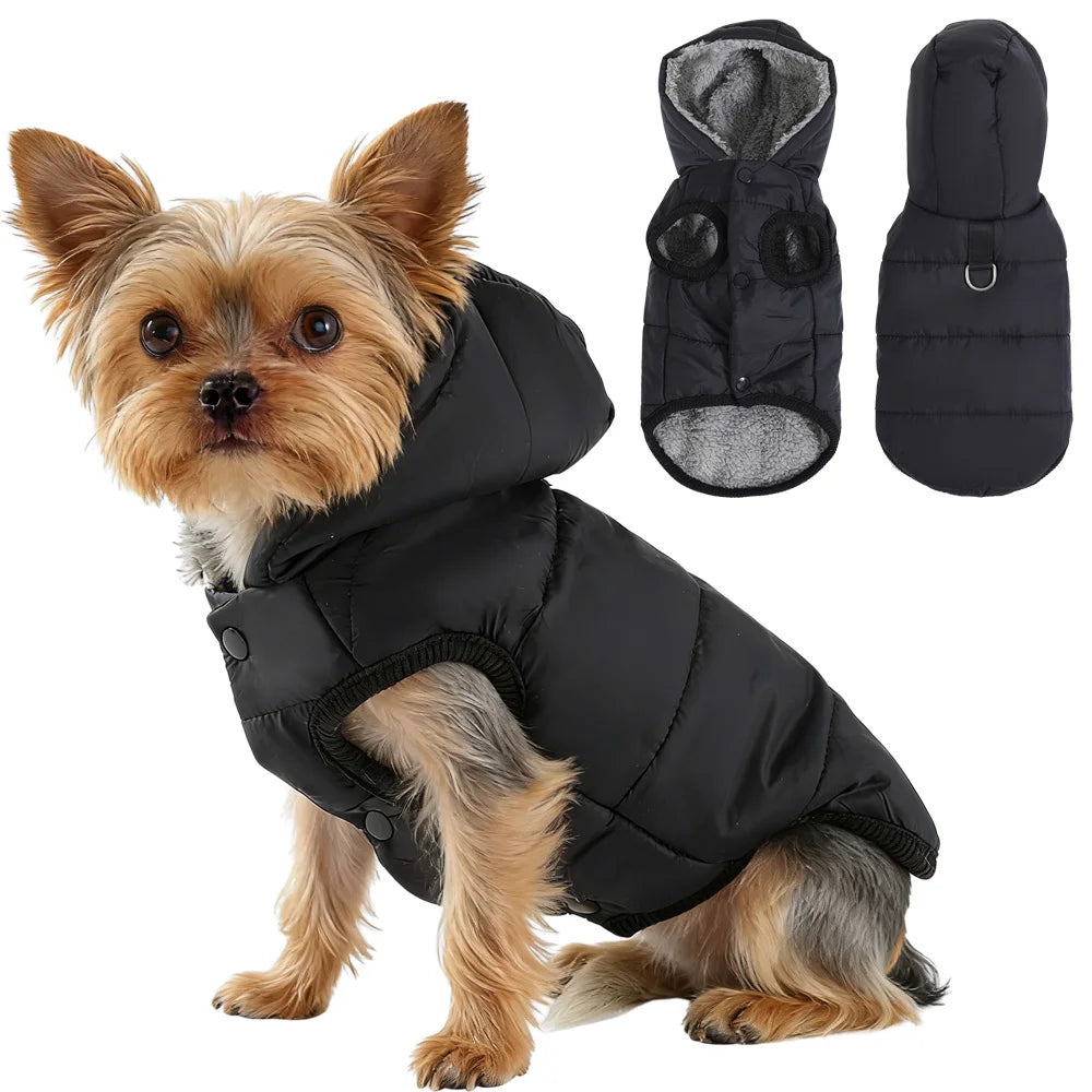 manteau chaud pour chien