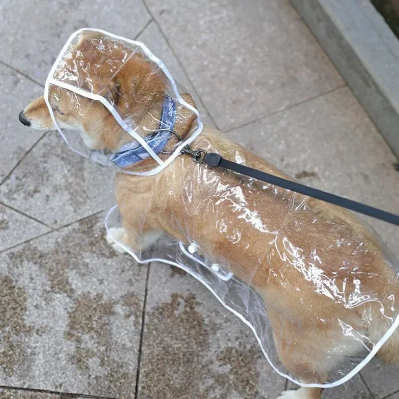 manteau de pluie transparent 