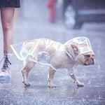 Manteau imperméable Transparent à capuche pour chien - Vignette | laisse pour chien. fr