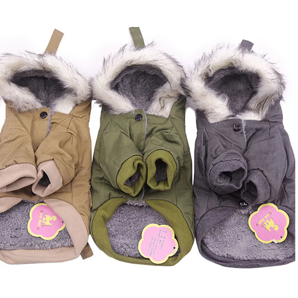 manteau hivers a capuche pour chien