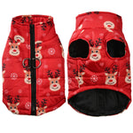 Manteau hivers pour chien - Vignette | laisse pour chien. fr