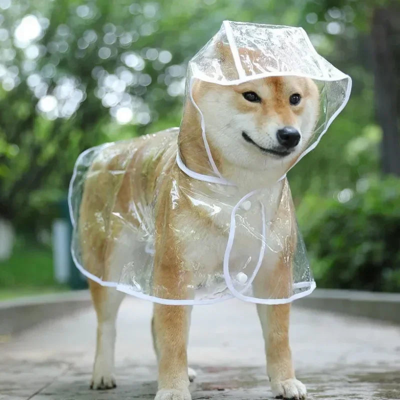 manteau impermeable transparent pour chien