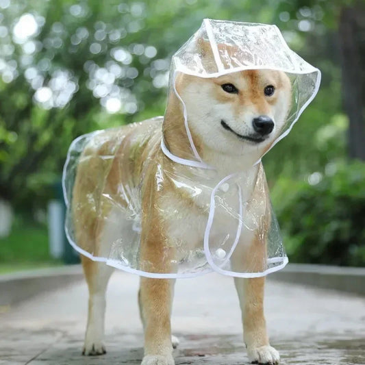 manteau impermeable transparent pour chien