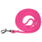 laisse en cuir petit chien - Vignette | laisse pour chien. fr