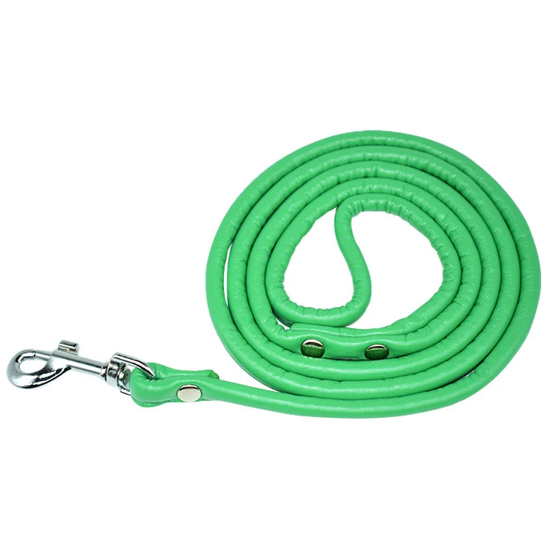 petite laisse en cuir 1,20m vert