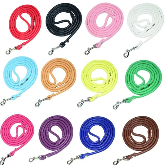 petites laisses en cuir 1,20m