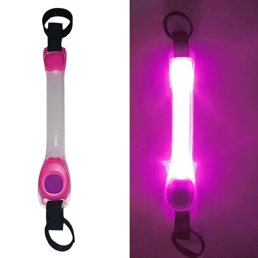 rajout lumineux sur laisse rose