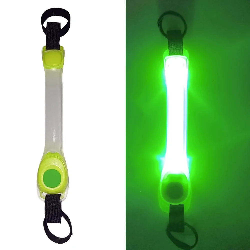 rajout lumineux sur laisse vert