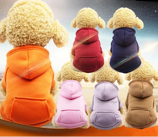 sweat a capuche pour chien