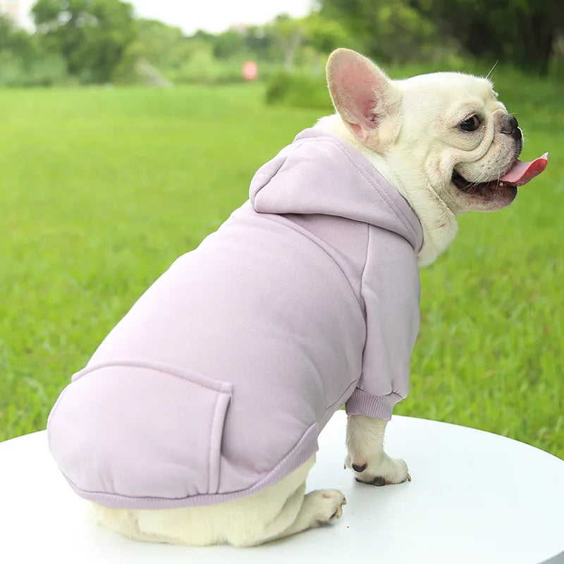 sweat a capuche pour chien blanc