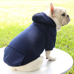Manteau sweat à capuche pour chien - Vignette | laisse pour chien. fr