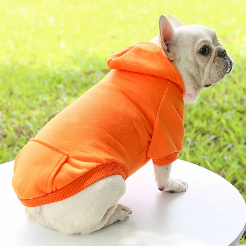 sweat a capuche pour chien orange