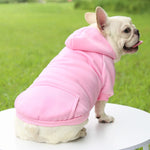 Manteau sweat à capuche pour chien - Vignette | laisse pour chien. fr